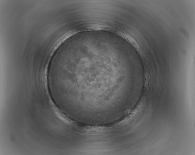 X0000113961039200909251355
