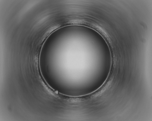 X0000113961041200909251355