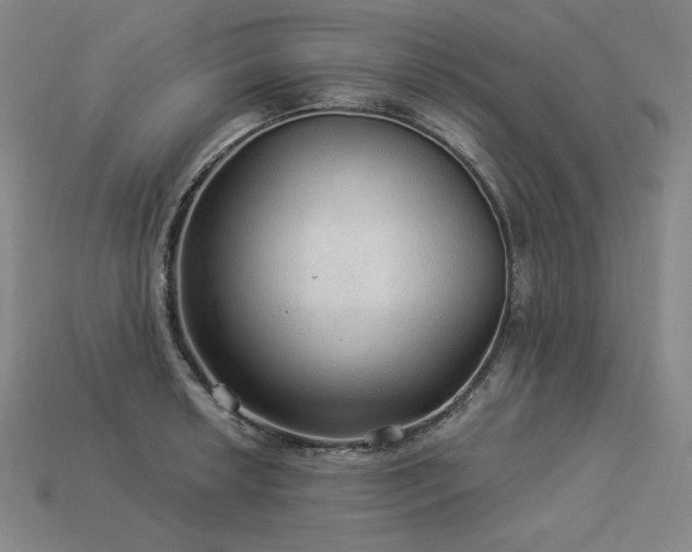 X0000113961042200909251355