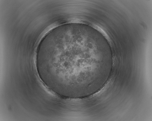 X0000113961043200909251356