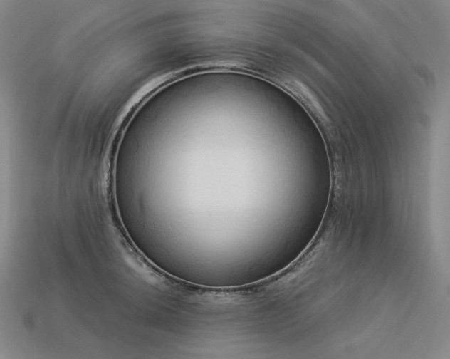 X0000113961044200909251356