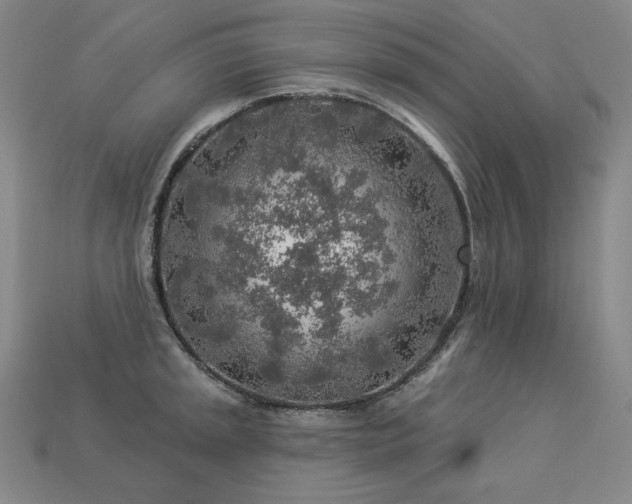 X0000113961045200909251356