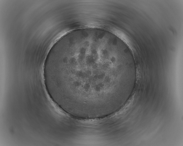 X0000113961047200909251356