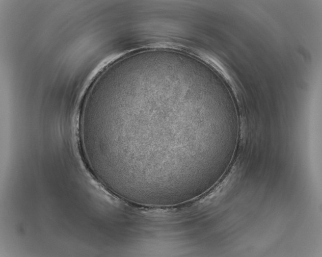 X0000113961048200909251356