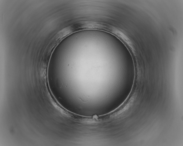X0000113961049200909251356