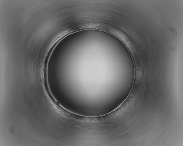X0000113961050200909251356