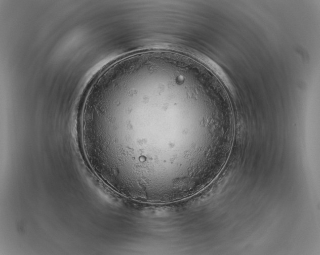 X0000113961051200909251356