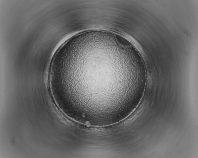 X0000113961052200909251356