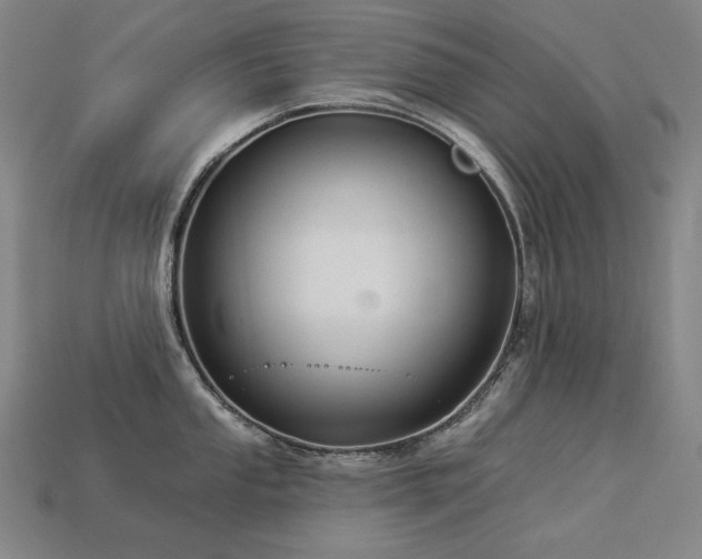 X0000113961053200909251356
