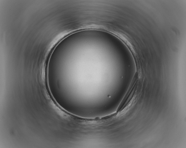 X0000113961054200909251356