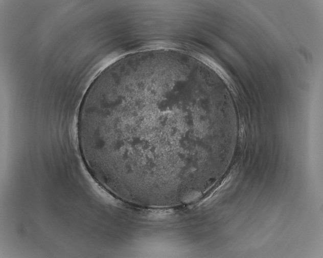 X0000113961055200909251356