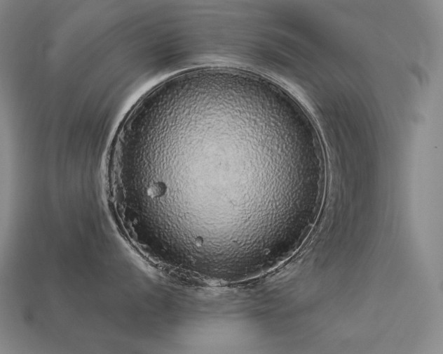 X0000113961056200909251356