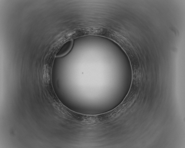 X0000113961058200909251355