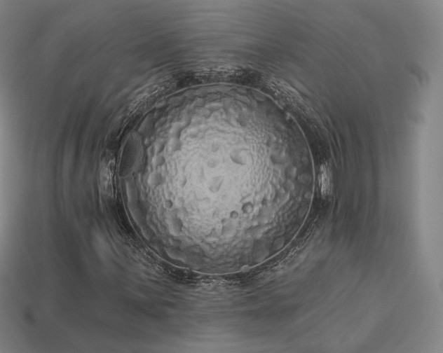 X0000113961059200909251355