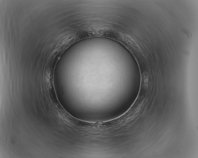 X0000113961060200909251355