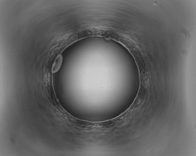 X0000113961061200909251355