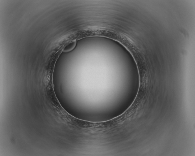X0000113961062200909251355