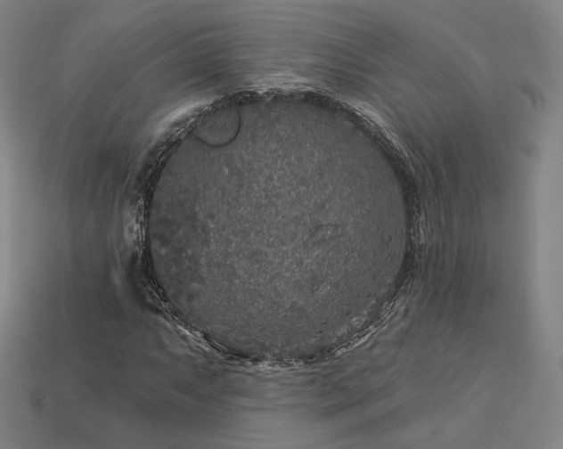 X0000113961063200909251355