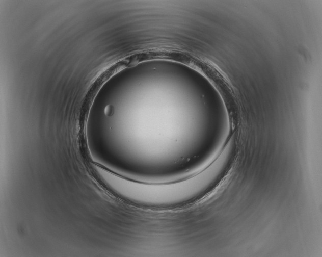 X0000113961065200909251355