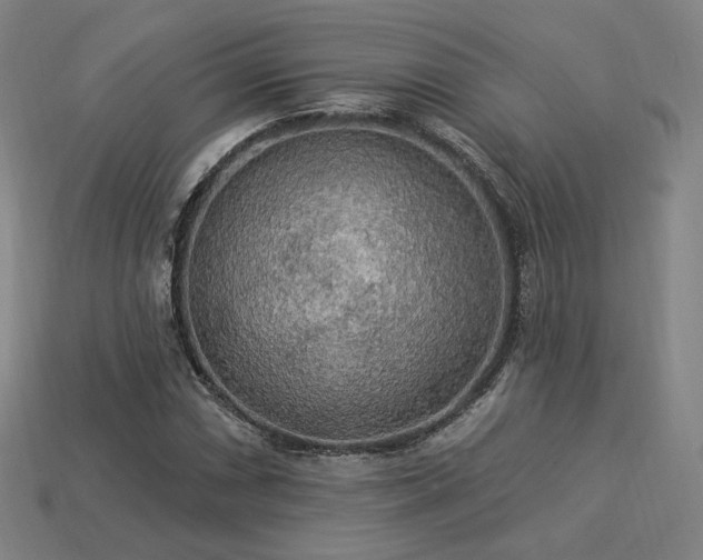 X0000113961066200909251355