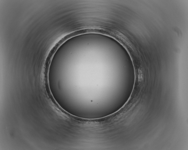 X0000113961068200909251355