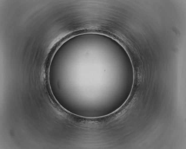 X0000113961070200909251355