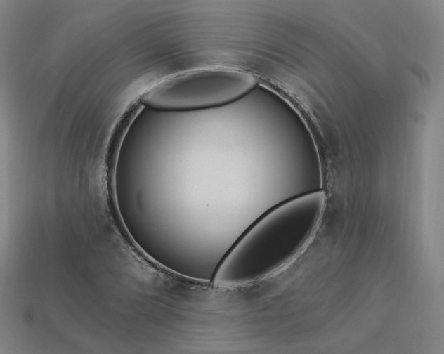 X0000113961072200909251355