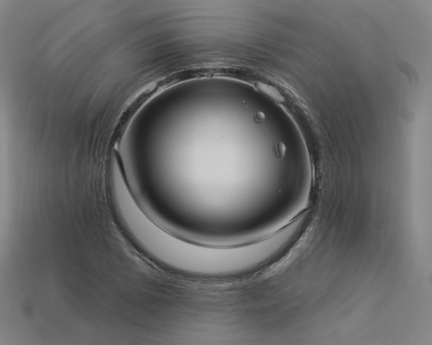 X0000113961073200909251355