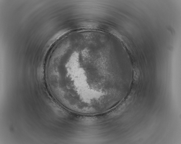 X0000113961074200909251355