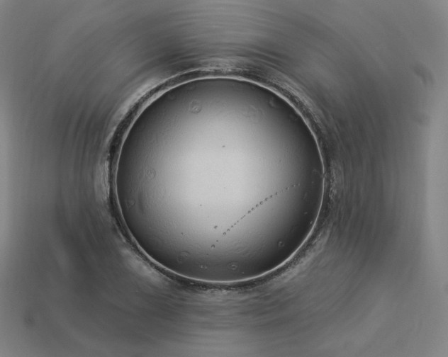 X0000113961075200909251355