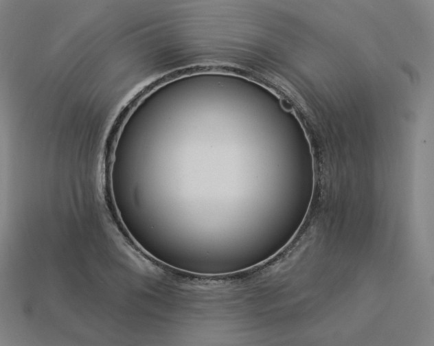 X0000113961076200909251355