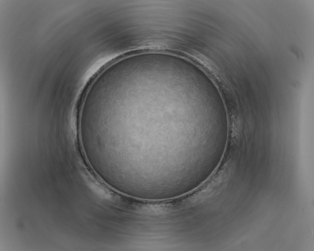 X0000113961078200909251355