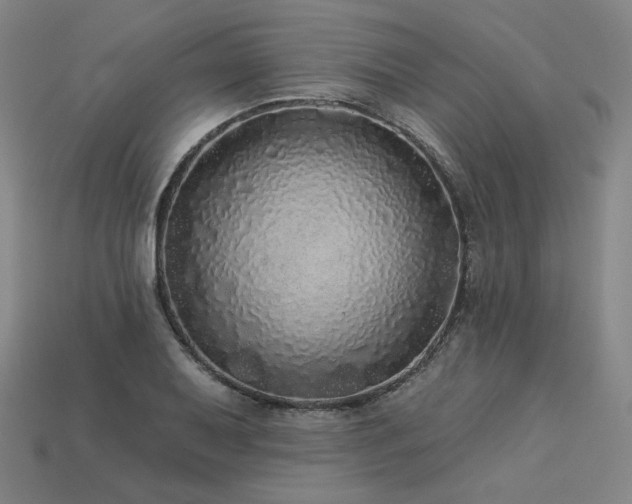 X0000113961079200909251355