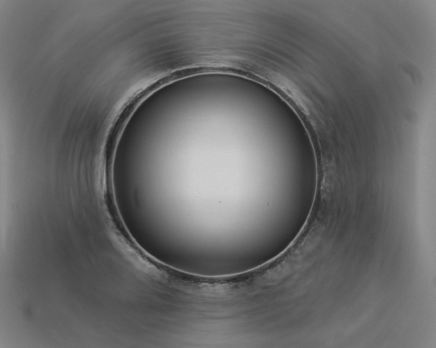 X0000113961080200909251355