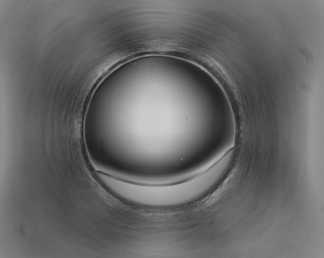 X0000113961081200909251355