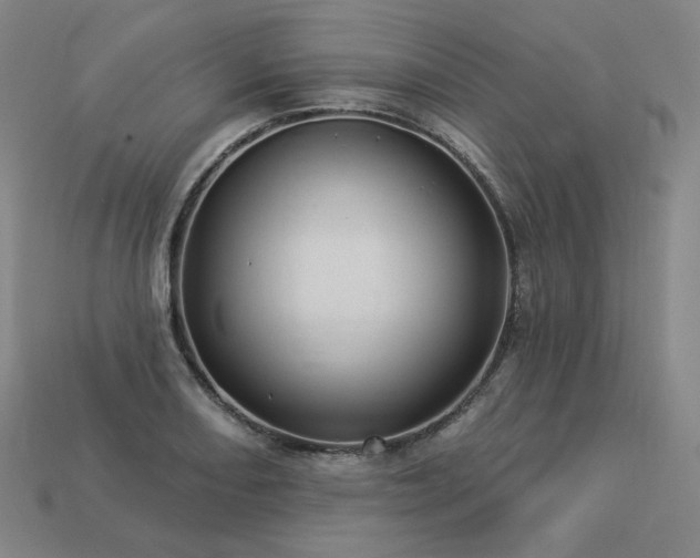 X0000113961082200909251355