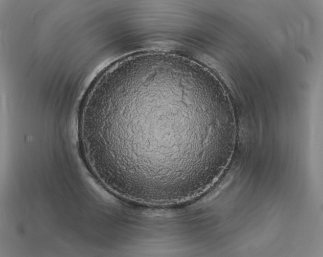 X0000113961083200909251355