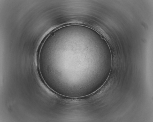 X0000113961084200909251355