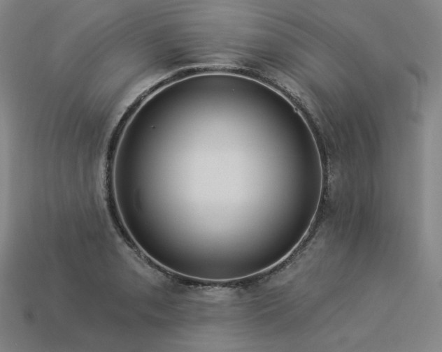 X0000113961085200909251355