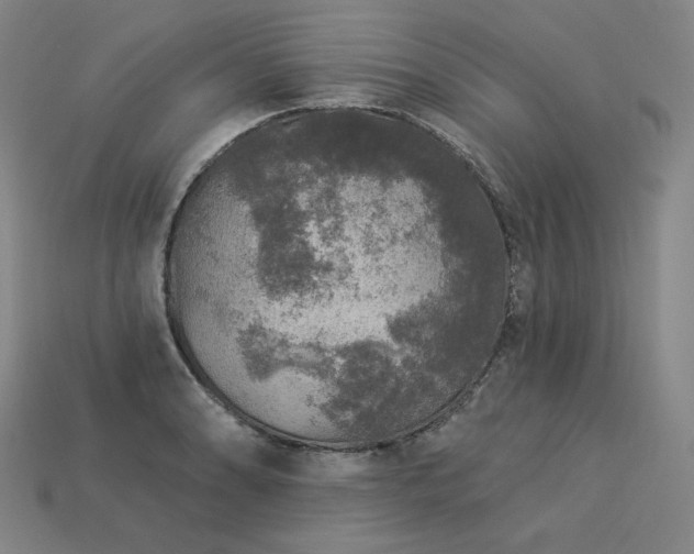 X0000113961086200909251355