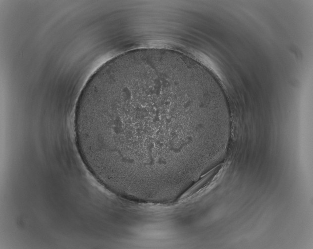 X0000113961087200909251355
