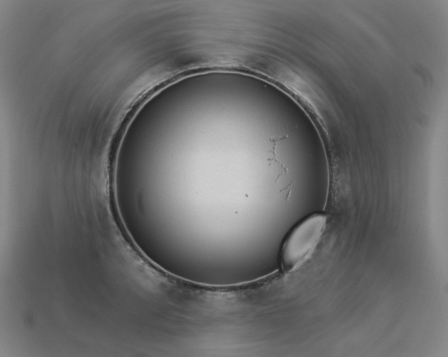X0000113961088200909251355