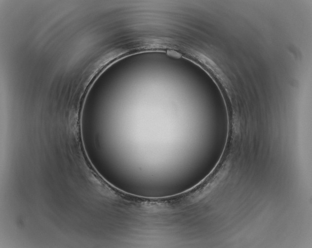 X0000113961089200909251355