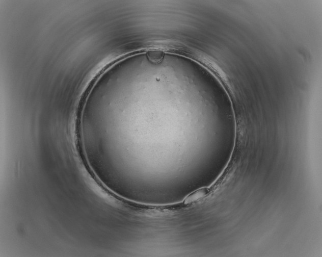 X0000113961091200909251355