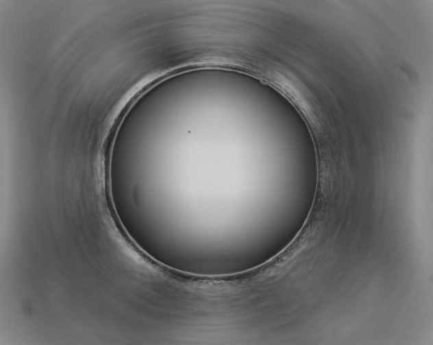 X0000113961092200909251355