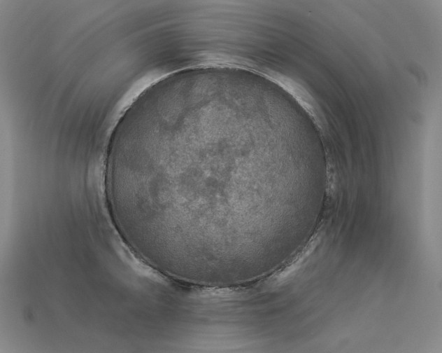 X0000113961094200909251355