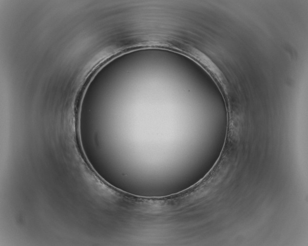 X0000113961096200909251355