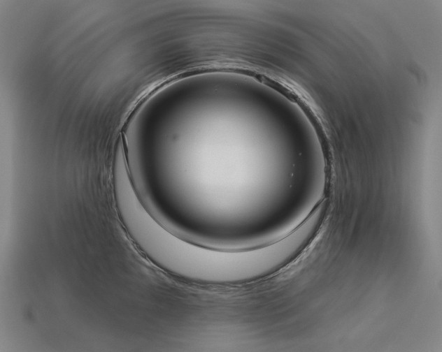 X0000113961097200909251355