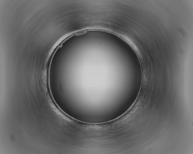 X0000113961100200909251355
