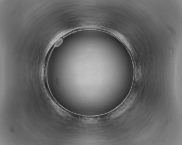 X0000113961101200909251354